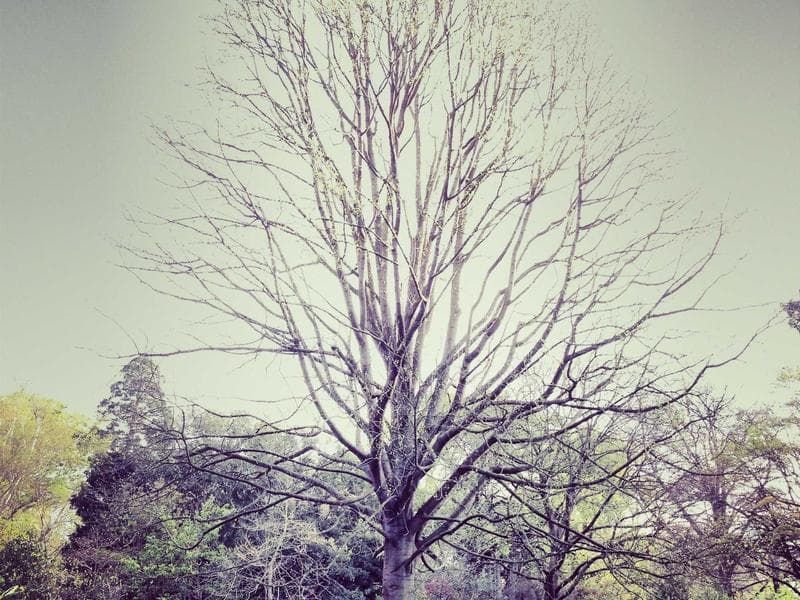 Commercial Complex MEP - Abha