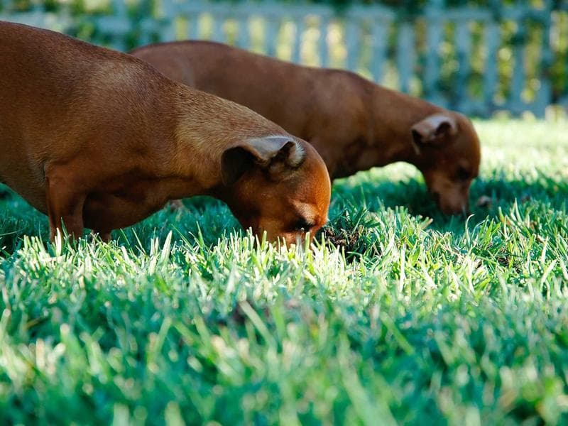 Interior Design & Finishing - Tabuk