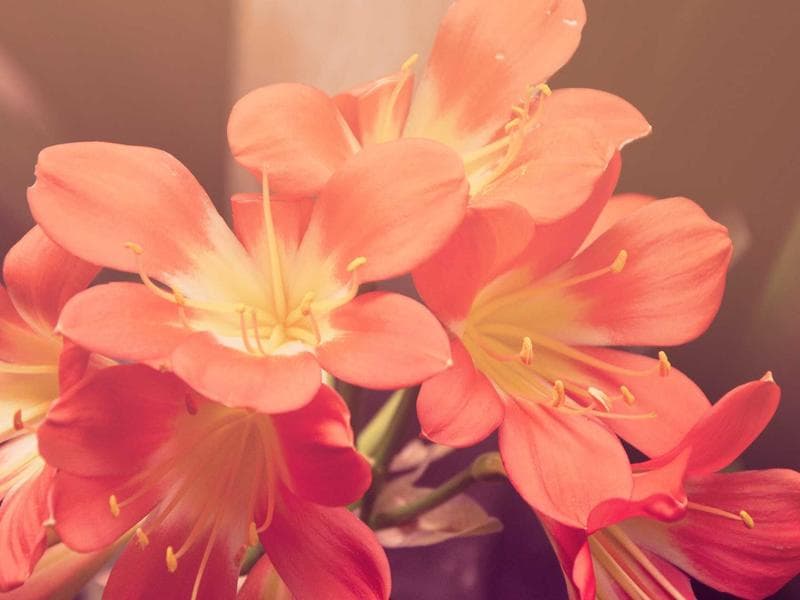 Industrial Warehouse Construction - Al Hofuf