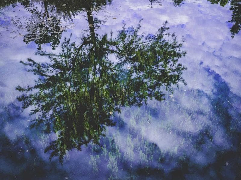 School Building Construction - Al Hofuf