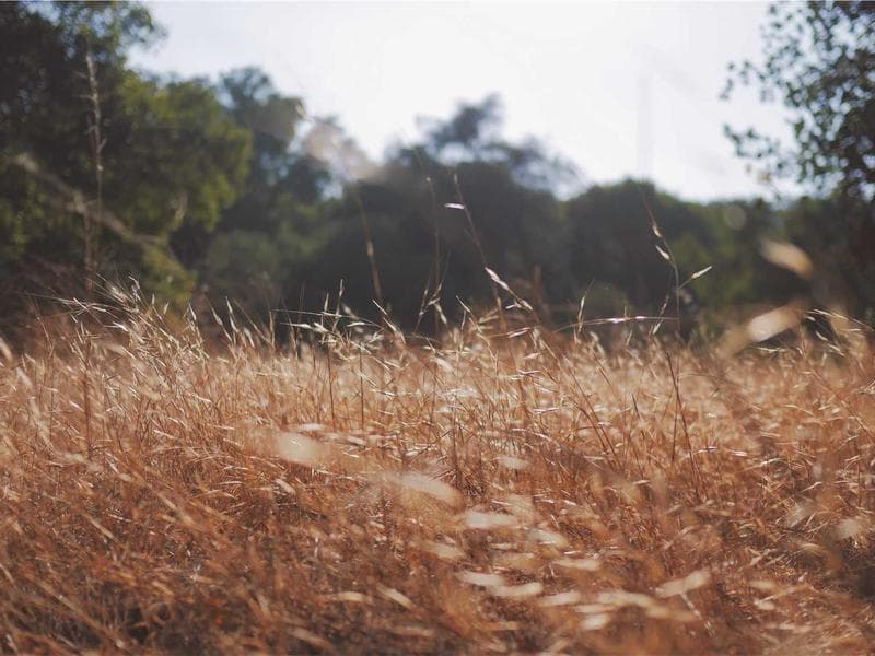 Luxury Villa Construction - Dhahran