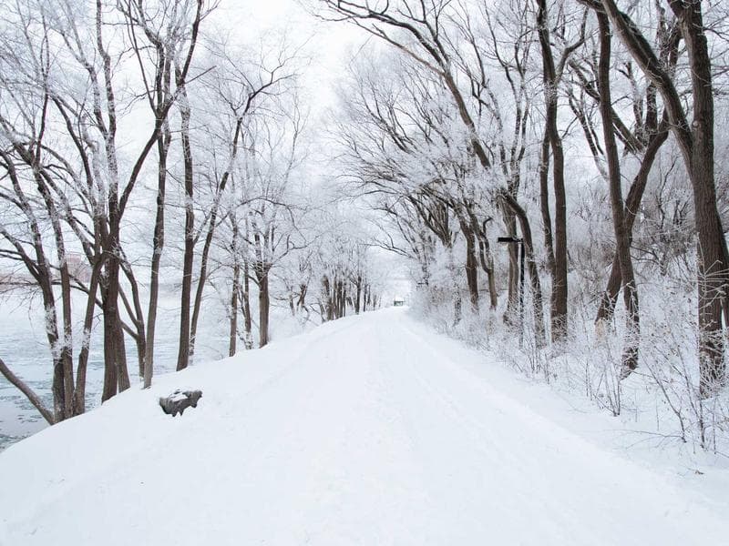 Restaurant Interior Design - Jizan