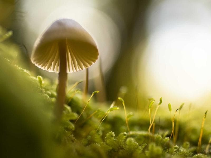 Interior Design & Finishing - Abha