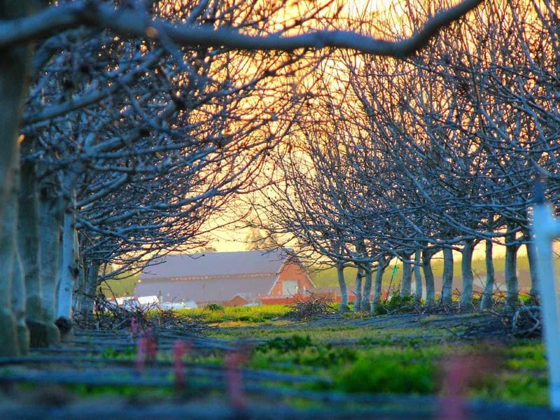 Commercial Complex MEP - Jeddah