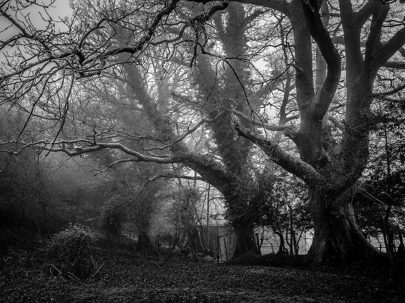 Shopping Mall Fit-Out - Al Hofuf