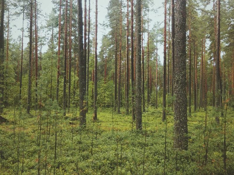 Industrial Warehouse Construction - Jizan