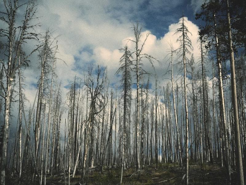 Shopping Mall Fit-Out - Al Jubail