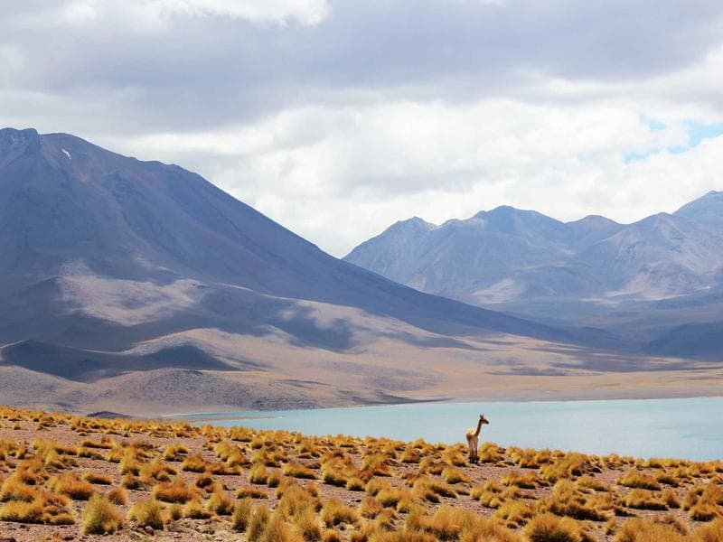 Commercial Complex MEP - Tabuk