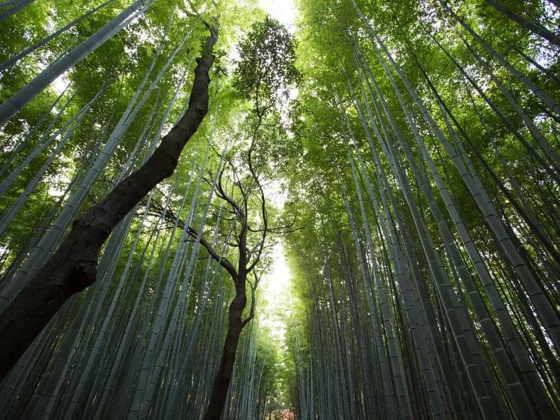 Commercial Complex MEP - Khamis Mushait