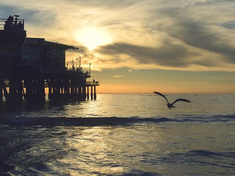 Luxury Villa Construction - Sakaka