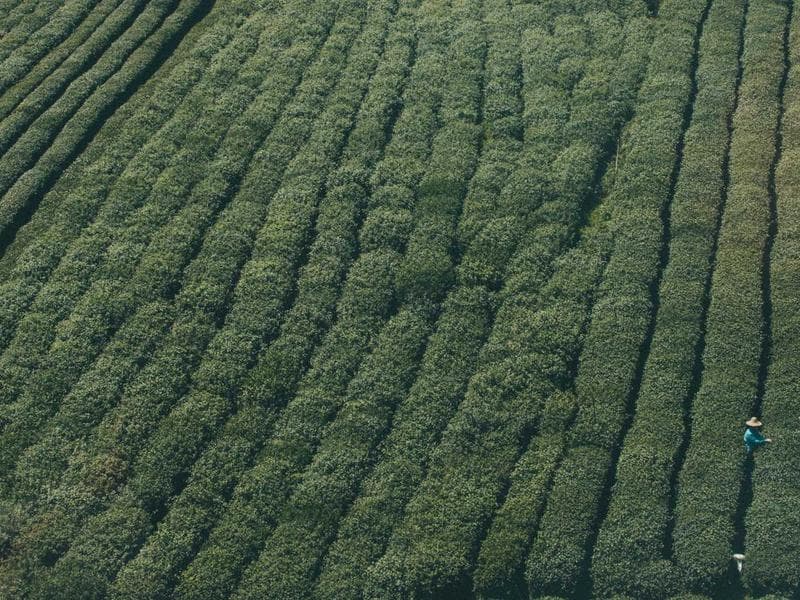 Commercial Complex MEP - Jizan