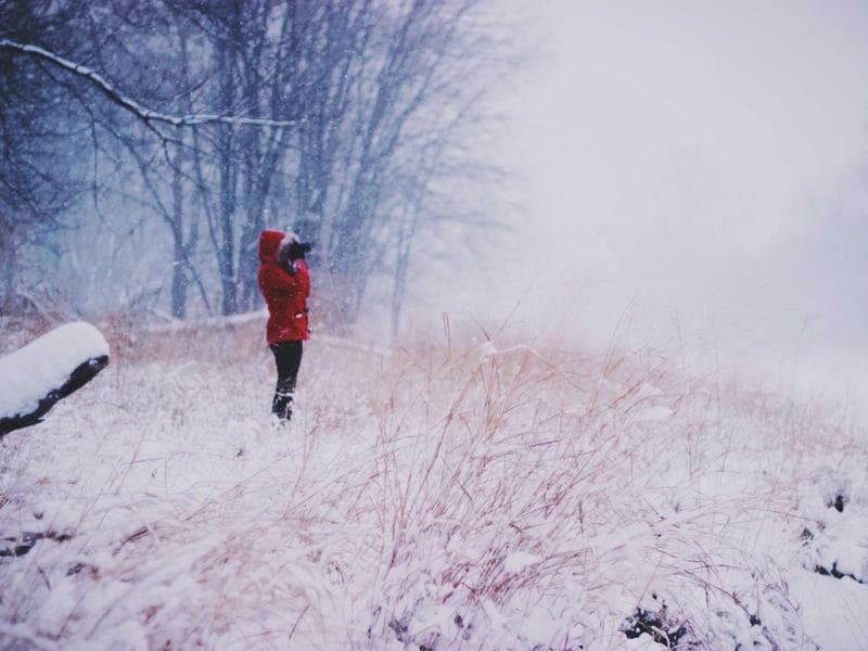 Restaurant Interior Design - Sakaka