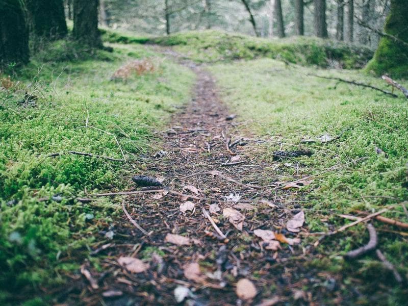 Shopping Mall Fit-Out - Jizan