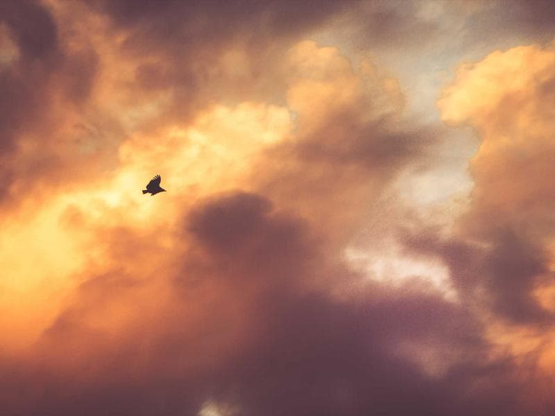 Interior Design & Finishing - Najran