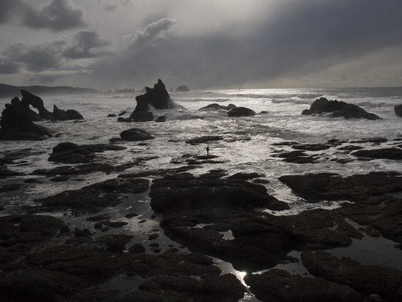 Interior Design & Finishing - Hail