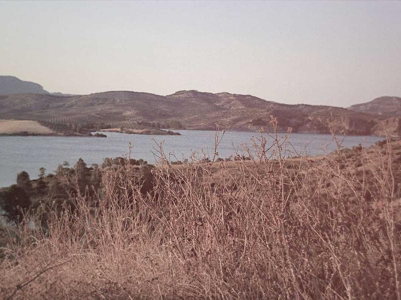 Residential Compound Development - Jeddah