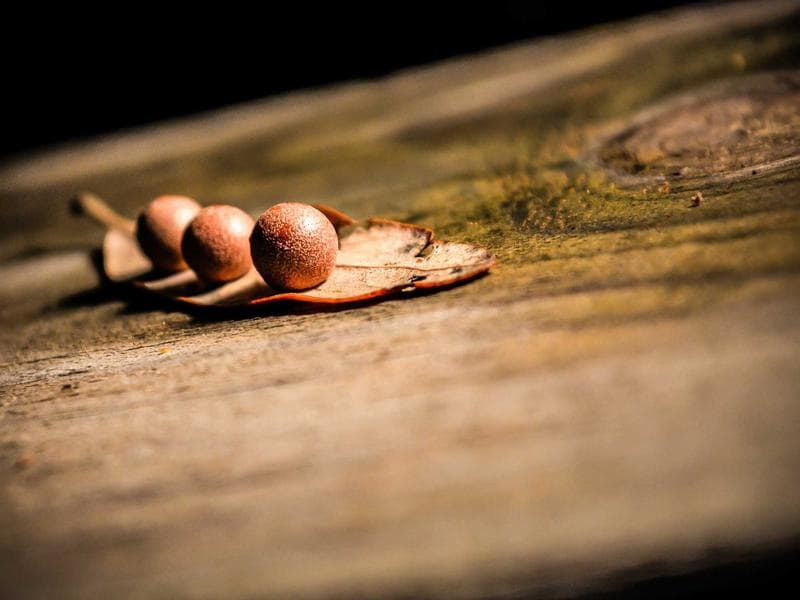 Restaurant Interior Design - Jeddah