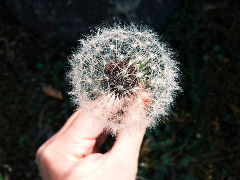 Commercial Complex MEP - Dammam