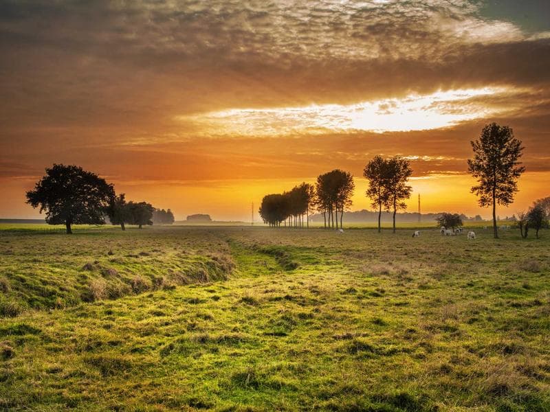 Interior Design & Finishing - Makkah