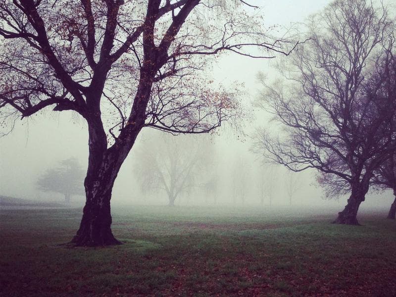 Shopping Mall Fit-Out - Jizan