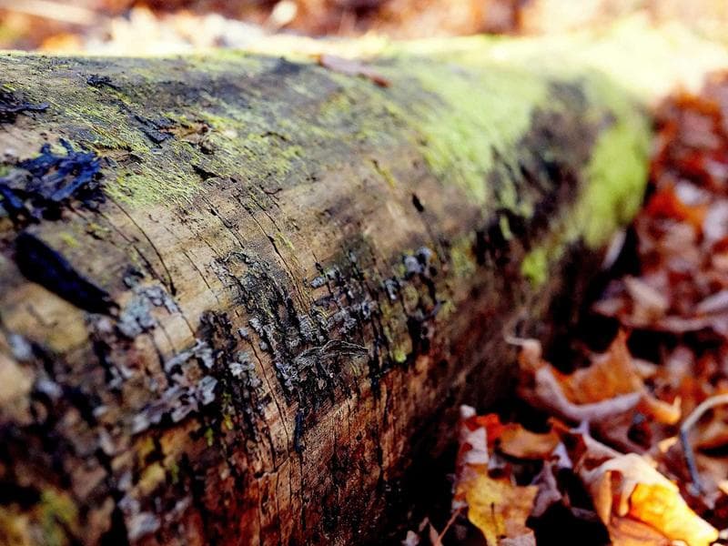 Hotel Renovation Project - Buraidah