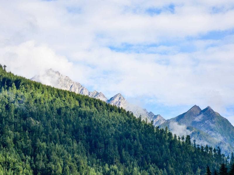 Interior Design & Finishing - Taif