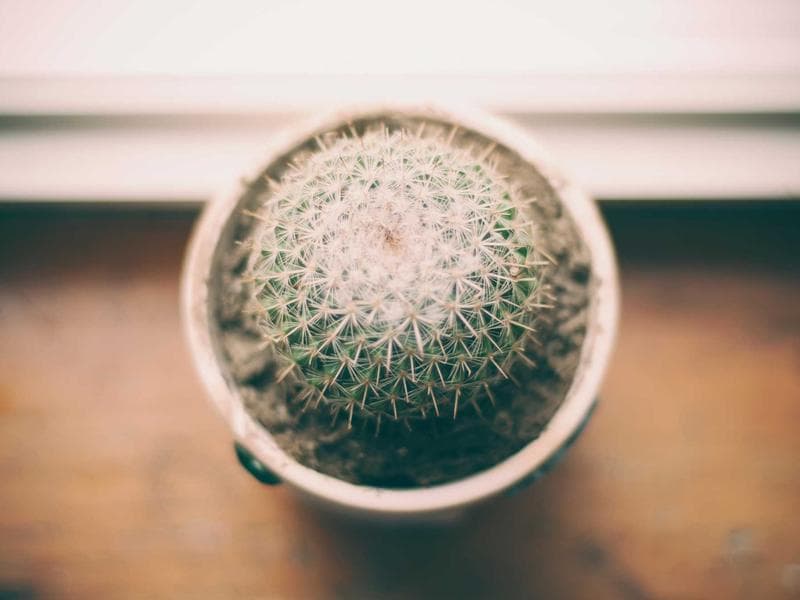 Interior Design & Finishing - Tabuk