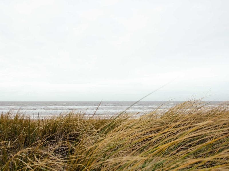 School Building Construction - Hail