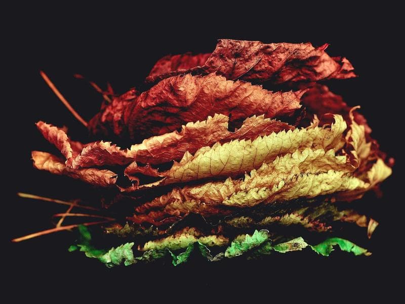 Residential Compound Development - Najran