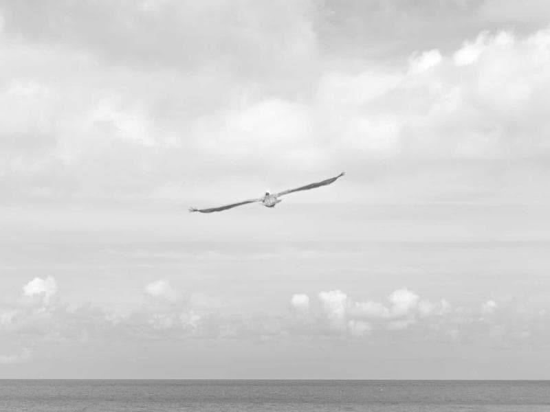 Commercial Complex MEP - Al Hofuf