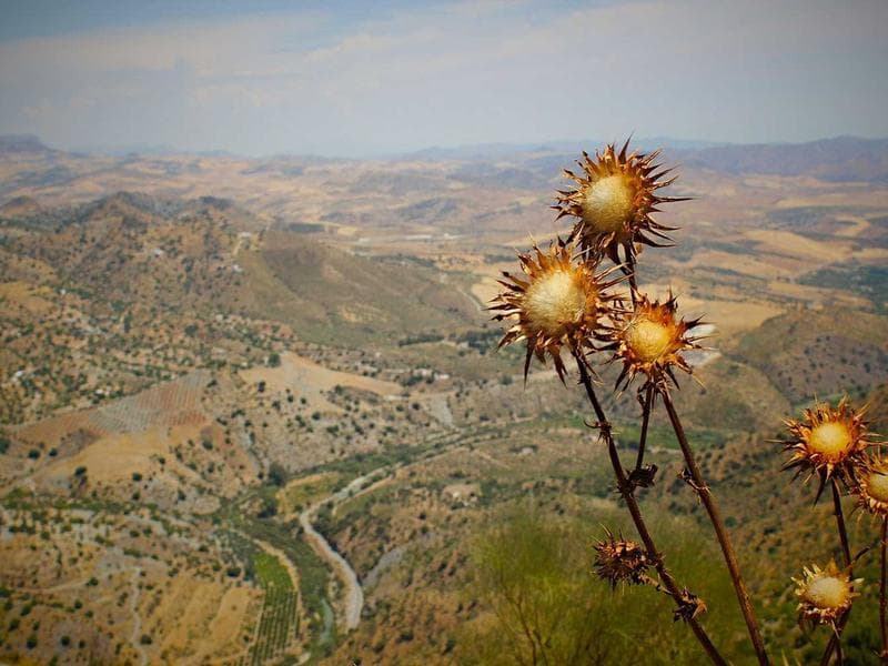 Office Building Renovation - Khamis Mushait