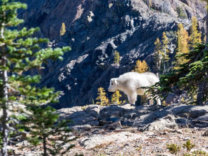 Shopping Mall Fit-Out - Al Khobar