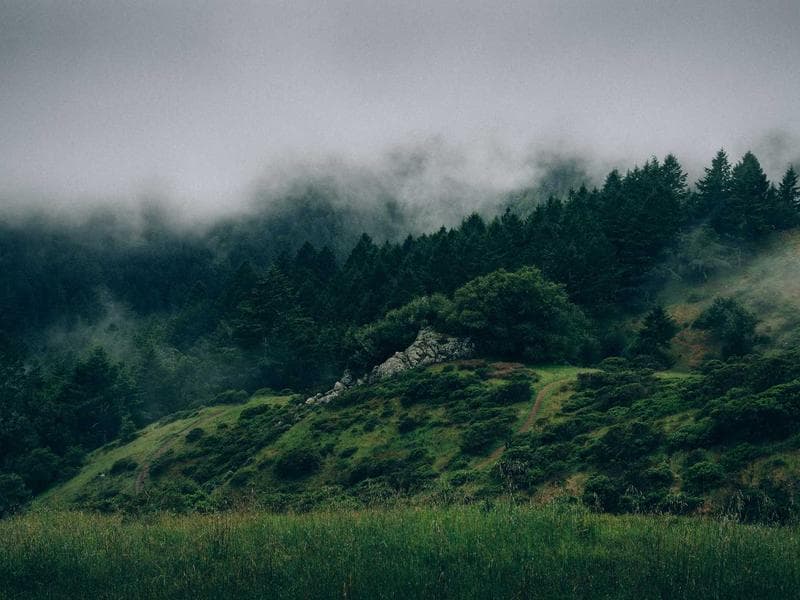 Commercial Complex MEP - Makkah